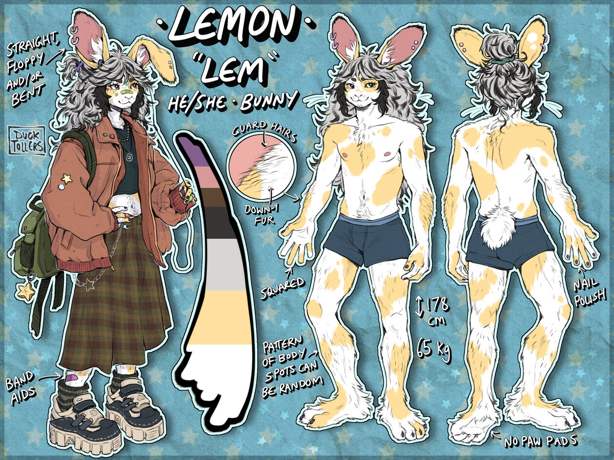 simple reference + full-body symmetrical → front & back view