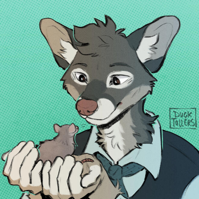 icon - sketch (= $20)